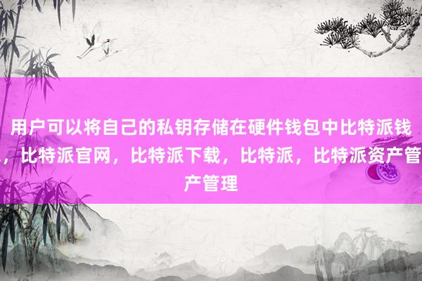 用户可以将自己的私钥存储在硬件钱包中比特派钱包，比特派官网，比特派下载，比特派，比特派资产管理