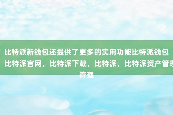 比特派新钱包还提供了更多的实用功能比特派钱包，比特派官网，比特派下载，比特派，比特派资产管理