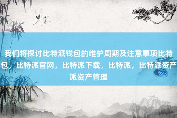 我们将探讨比特派钱包的维护周期及注意事项比特派钱包，比特派官网，比特派下载，比特派，比特派资产管理