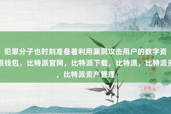 犯罪分子也时刻准备着利用漏洞攻击用户的数字资产比特派钱包，比特派官网，比特派下载，比特派，比特派资产管理