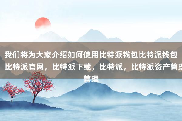 我们将为大家介绍如何使用比特派钱包比特派钱包，比特派官网，比特派下载，比特派，比特派资产管理