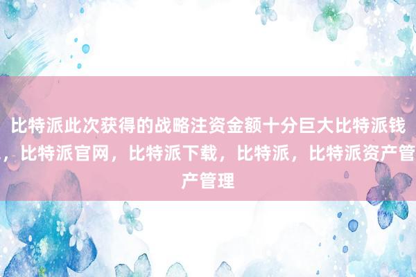 比特派此次获得的战略注资金额十分巨大比特派钱包，比特派官网，比特派下载，比特派，比特派资产管理