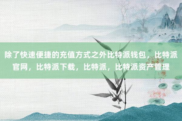 除了快速便捷的充值方式之外比特派钱包，比特派官网，比特派下载，比特派，比特派资产管理