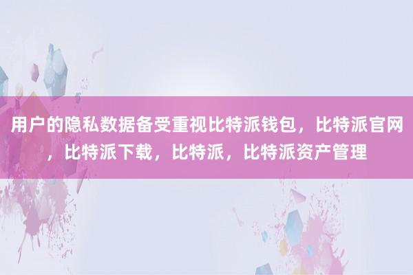 用户的隐私数据备受重视比特派钱包，比特派官网，比特派下载，比特派，比特派资产管理