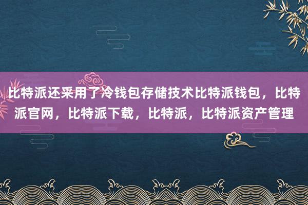 比特派还采用了冷钱包存储技术比特派钱包，比特派官网，比特派下载，比特派，比特派资产管理