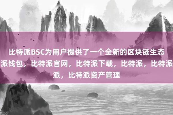 比特派BSC为用户提供了一个全新的区块链生态系统比特派钱包，比特派官网，比特派下载，比特派，比特派资产管理