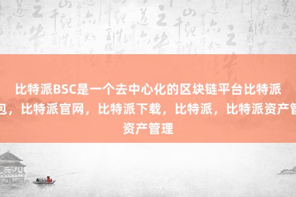 比特派BSC是一个去中心化的区块链平台比特派钱包，比特派官网，比特派下载，比特派，比特派资产管理