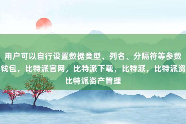 用户可以自行设置数据类型、列名、分隔符等参数比特派钱包，比特派官网，比特派下载，比特派，比特派资产管理