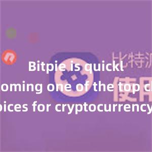 Bitpie is quickly becoming one of the top choices for cryptocurrency enthusiasts worldwide.比特派钱包，比特派官网，比特派下载，比特派，比特派资产管理