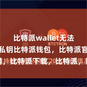 比特派wallet无法访问用户的私钥比特派钱包，比特派官网，比特派下载，比特派，比特派资产管理