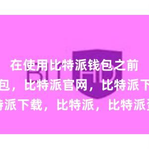 在使用比特派钱包之前比特派钱包，比特派官网，比特派下载，比特派，比特派资产管理